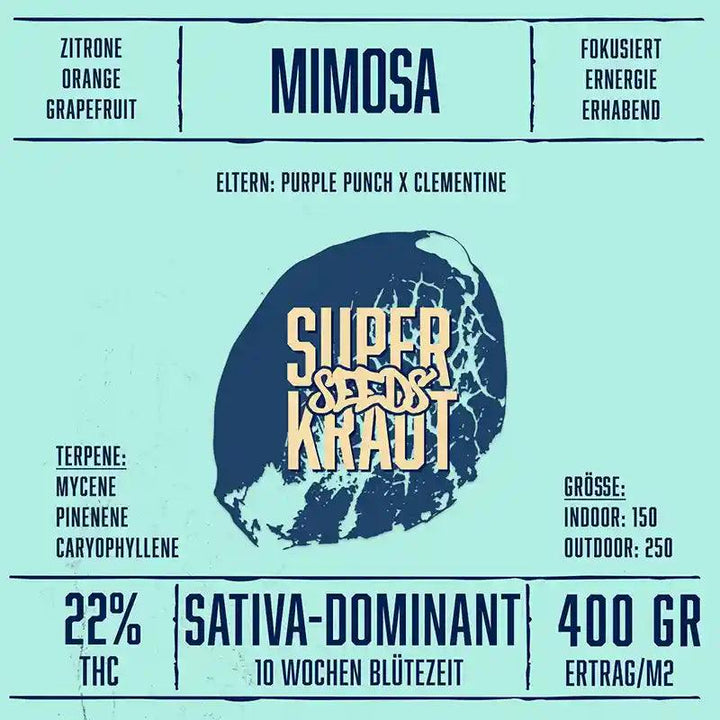 Mimosa | Feminisierte Cannabissamen kaufen - Superkraut