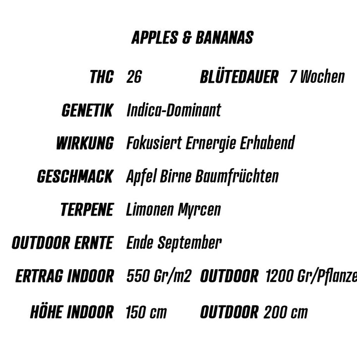 Übersicht cannabis zusammenfassung Samen Apples bananas