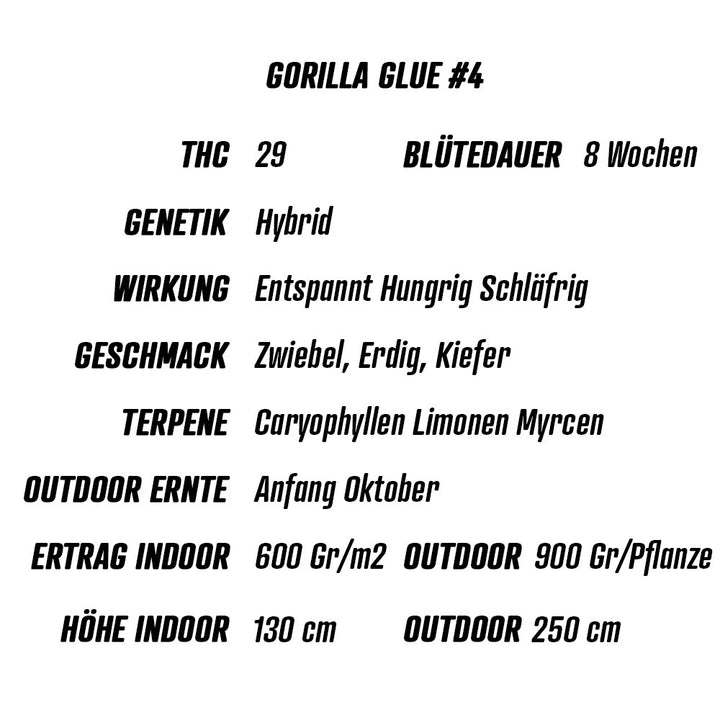 Übersicht cannabis zusammenfassung Gorilla Glue