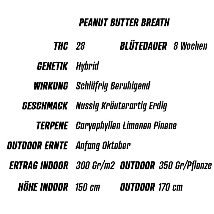 Übersicht cannabis zusammenfassung samen Peanut Butter Breath